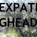 Expat Egghead
