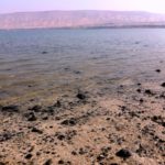 Ta’am Kinneret (Taste the Sea of Galilee) Food Festival!