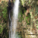 Ein Gedi: one of Israel’s amazing desert wonders