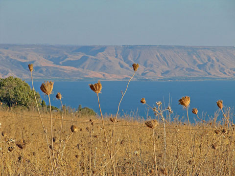 Sea of Galilee