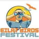 Grab your binoculars and cameras, it’s the annual Eilat Bird Festival!