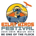 Eilat Birds Festival 2014
