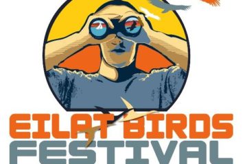 Eilat Birds Festival 2014