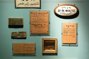 Tower of David: medical diagnosis