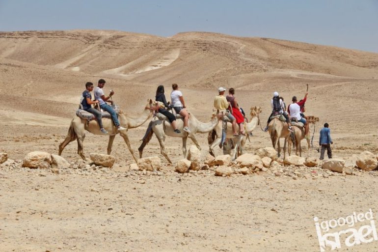 10 amazing things to see and do in the Negev Desert! - The ESSENTIAL ...
